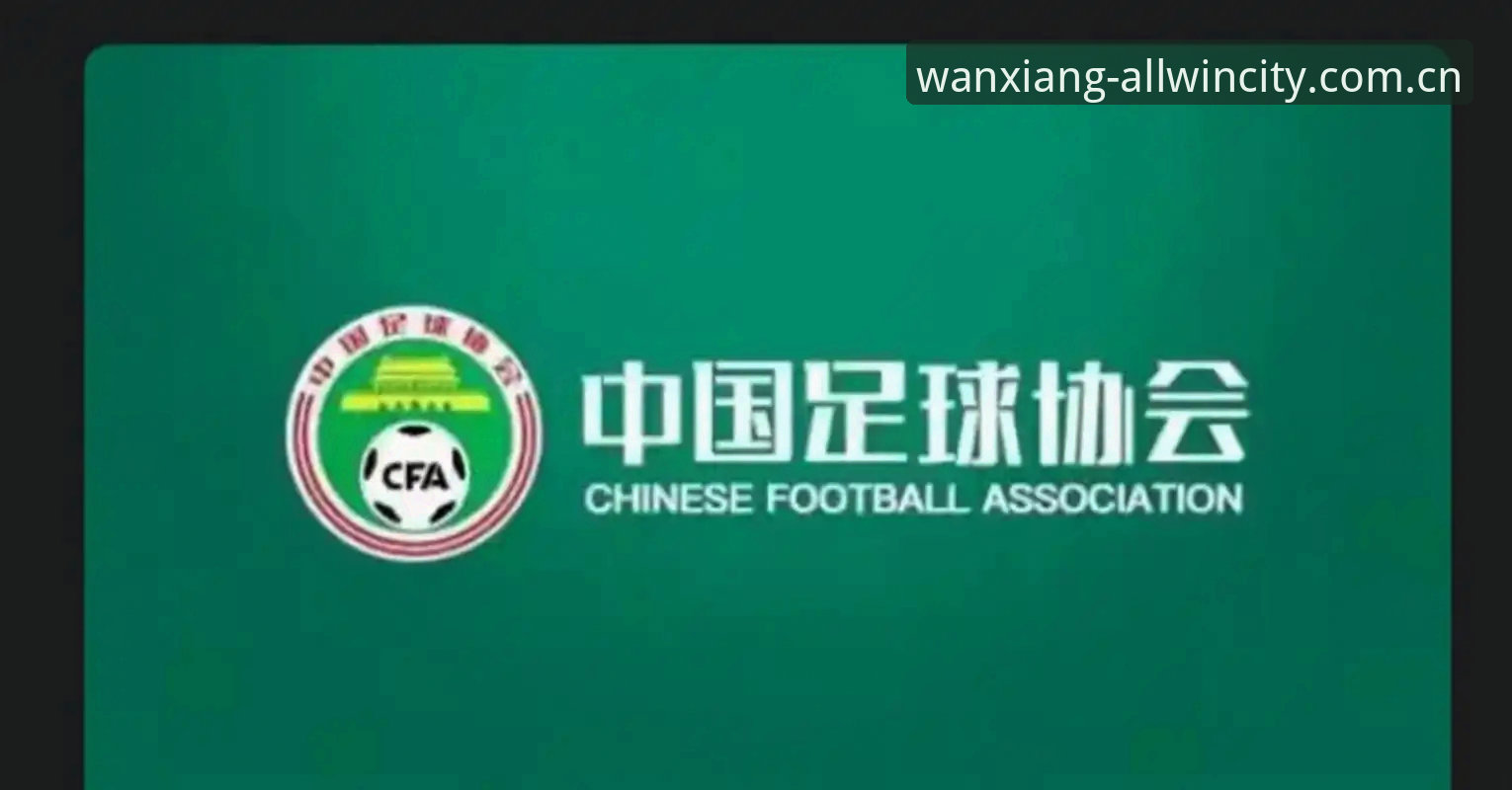 足协第三批禁足名单出炉，看懂这份处罚清单的实用指南